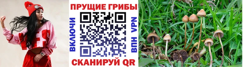 Псилоцибиновые грибы Magic Shrooms  ОМГ ОМГ ССЫЛКА  Грязи 